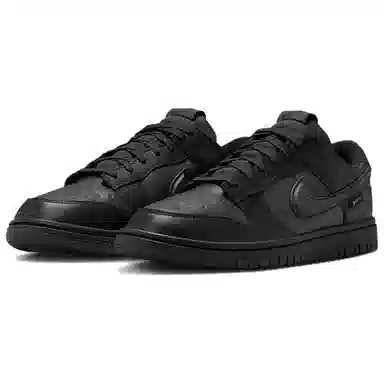 Nike Dunk Gore-Tex Low Black