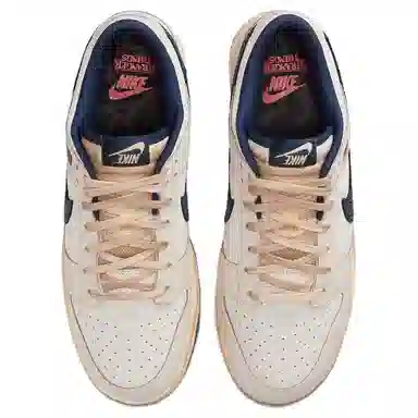 Stranger Things x Nike Dunk Low Gray Blue