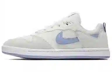 Nike SB Alleyoop Purple Grey