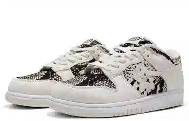 RIPSTAR SKBD Low Pythons