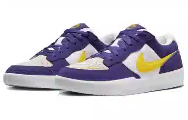 Nike SB Force 58 Purple