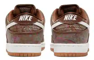 Nike Dunk SB Paisley Brown White