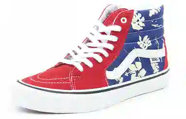 Vans SK8 Pro Blue Red