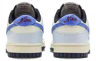 Nike Dunk Low Purple Blue