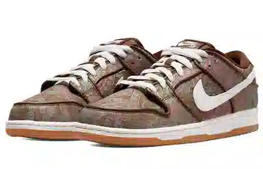 Nike Dunk SB Paisley Brown White