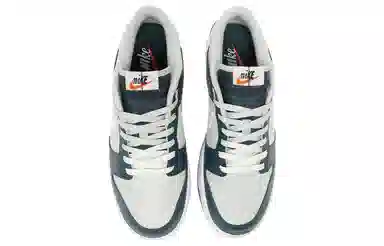 Nike Dunk Low "Remix"