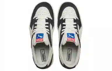 PUMA Sky LX Low Japanorama