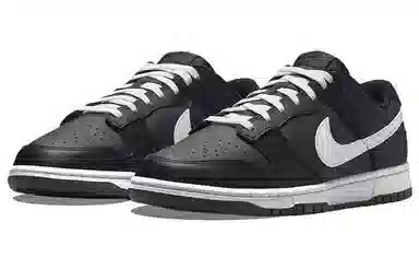 Nike Dunk Low Retro Black White