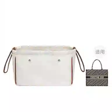 DiorBook tote