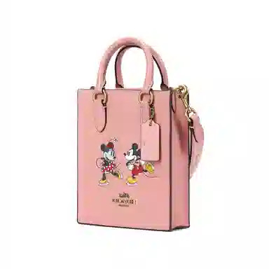 COACH x Disney 17