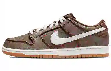 Nike Dunk SB Paisley Brown White