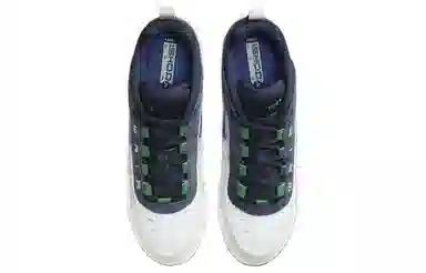 Nike SB Ishod 2 White Green