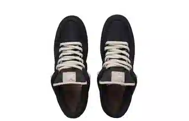 Nike Dunk SB "Black Hole"