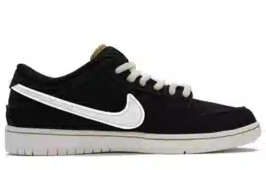 Nike Dunk SB Black White