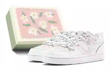 Nike Court Borough Low 520