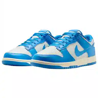 Nike Dunk Low Blue Silver