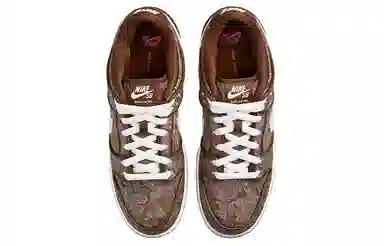 Nike Dunk SB Paisley Brown White