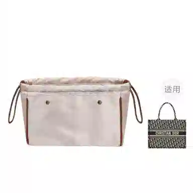 DiorBook tote