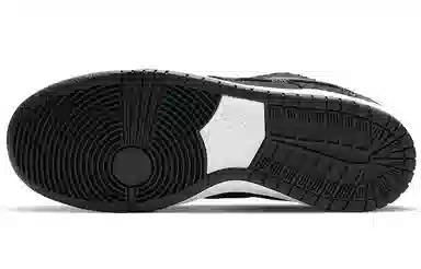 Nike Dunk SB Pro QS "Wasted Youth"