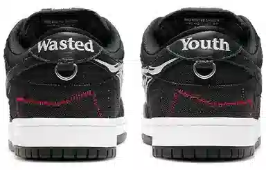 Nike Dunk SB Pro QS "Wasted Youth"