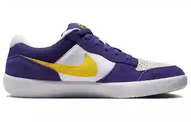 Nike SB Force 58 Purple