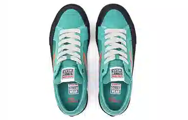 oddCIRKUS x Vision Street Wear Astley Pro