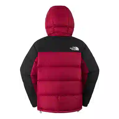 The North Face ICON Hmlyn Down Jacket
