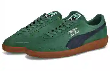 PUMA Suede Vlado Stenzel Green Brown