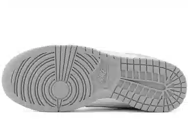 Nike Dunk Low Retro Silver Dragon Dawn Vibe