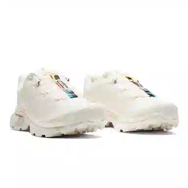 Salomon XT-6 Champagne