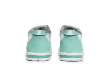 DESCENTE Crontempo White Green