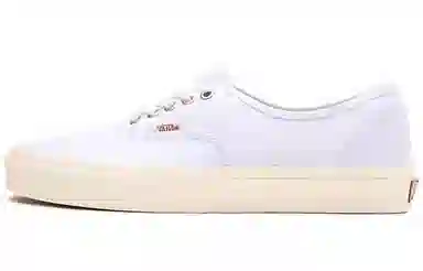 Vans Authentic Eco Theory