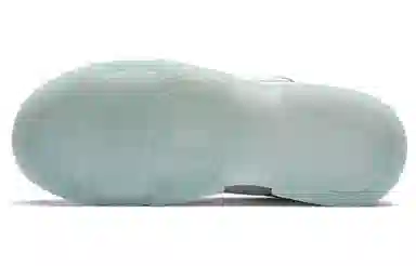 Nike Dunk Disrupt Photon Dust