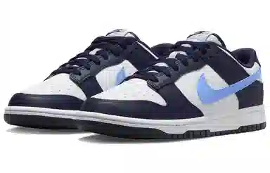 Nike Dunk Low Black White Blue