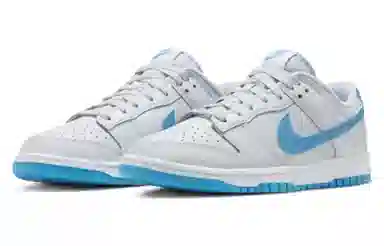 Nike Dunk Low Retro Blue Grey