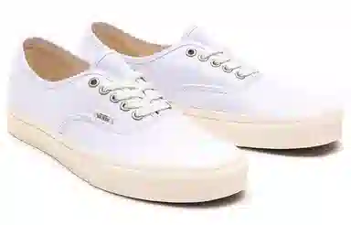 Vans Authentic Eco Theory