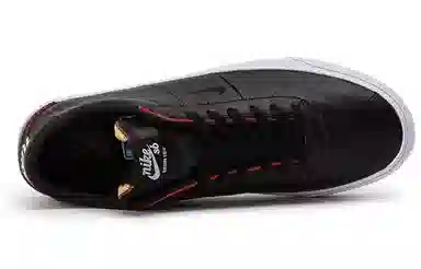 Nike SB Bruin Low NBA Bulls