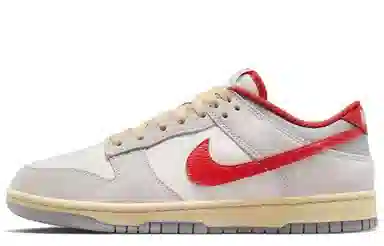 Nike Dunk Low Roaming Plan