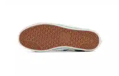 Vision Street Wear V76