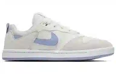Nike SB Alleyoop Purple Grey