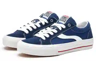 oddCIRKUS x Vision Street Wear Astley Pro