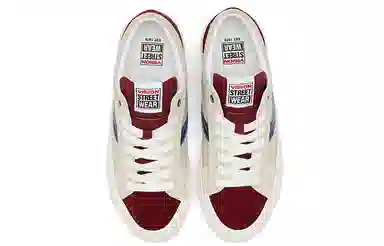 oddCIRKUS x Vision Street Wear Astley Pro Agate Grey