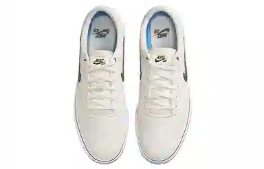 Nike SB Chron 2 Canvas Premium White