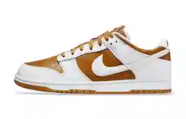 Nike Dunk Drippy Orange Street