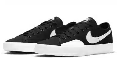 Nike Blazer Low SB Black White