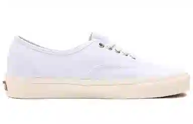 Vans Authentic Eco Theory