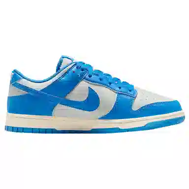 Nike Dunk Low Blue Silver