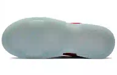 Nike Dunk Disrupt "Gym Red"