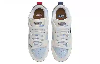 Nike Dunk Low Disrupt 2