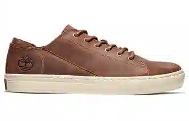 Timberland ADV 2.0 Brown